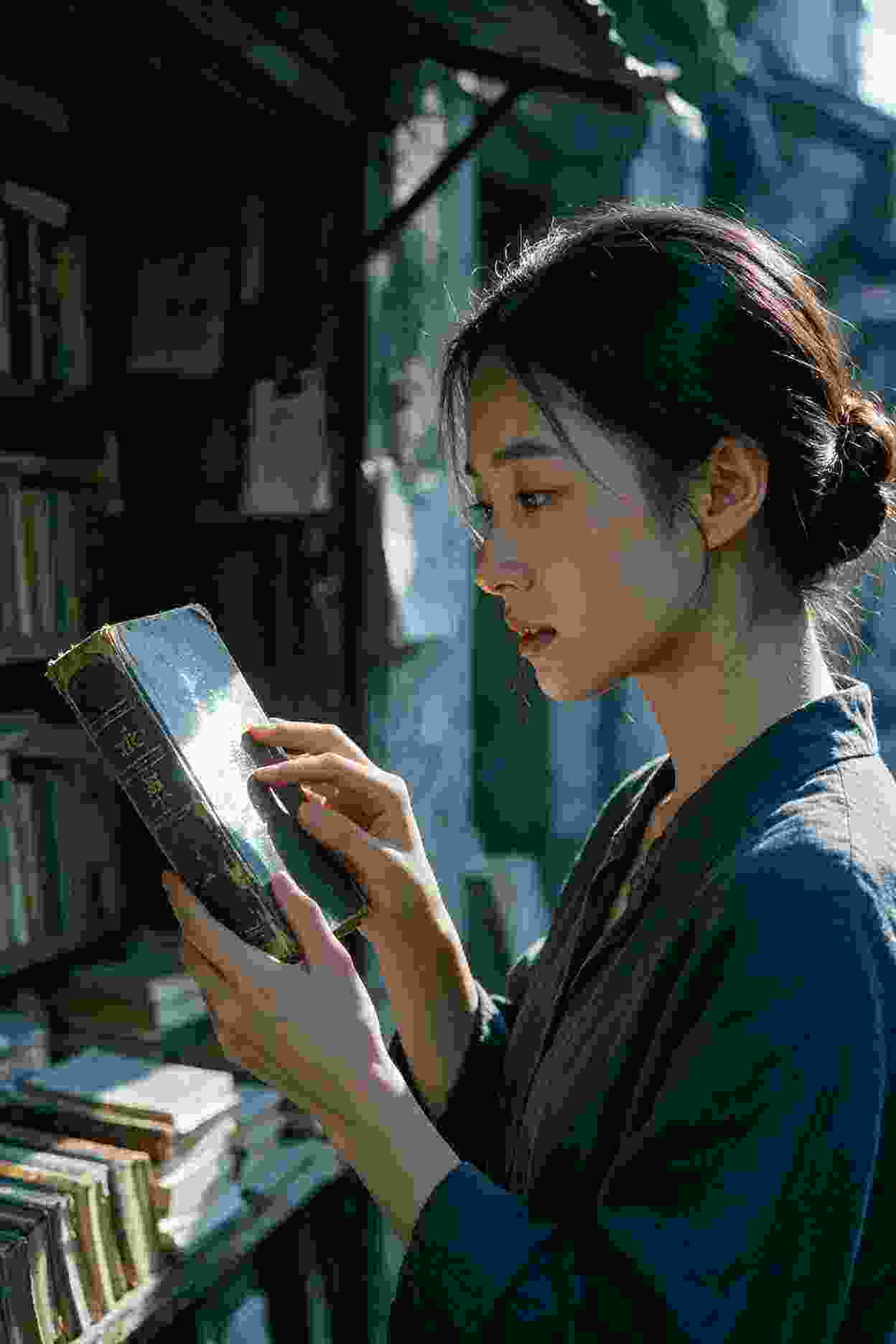 灵兽幻想